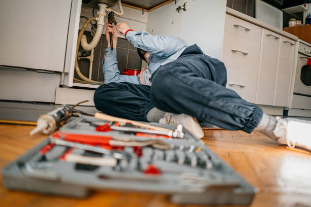 Best Clogged Drain Plumber  in South Miami Heights, FL